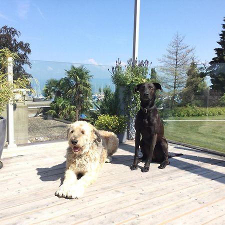 Lakelodge Romanshorn Kültér fotó