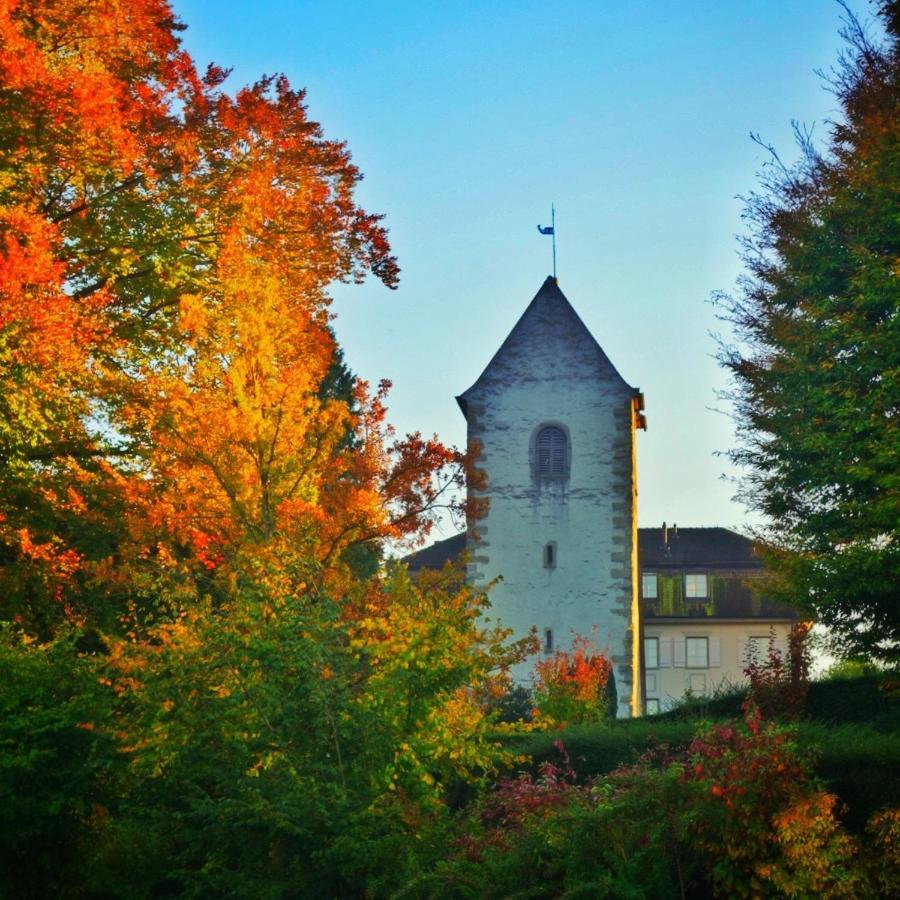 Lakelodge Romanshorn Kültér fotó