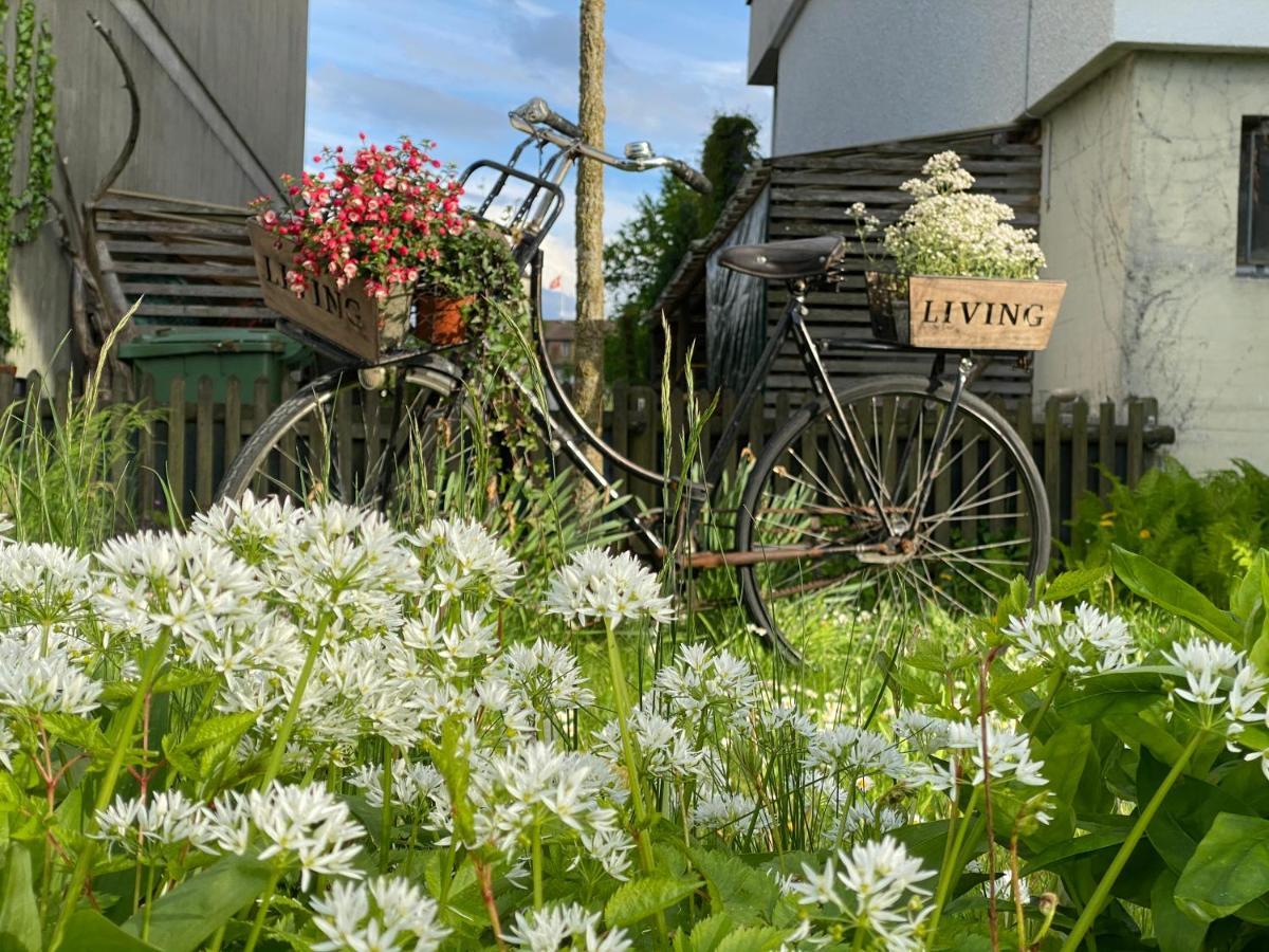 Lakelodge Romanshorn Kültér fotó